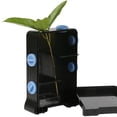 thumbnail image 2 of Juguetes Científico Material De Bricolaje Educativos Juegos De Exploración Creativa - Fototropismo De Crecimiento De Plantas perfke Planta Lucipetal Caso, 2 of 9