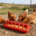 thumbnail image 4 of 3 Pack Automatic Poultry Feeder, Spill-Proof Chick Feeder for Coop, Cage & Brooder, Adjustable Dispenser with Multiple Feeding Holes, Easy Clean Hanging Design for Chickens, Ducks & Quail（Red, C）, 4 of 7