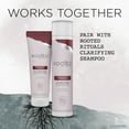 thumbnail image 6 of Rooted Rituals Ginger Root and Aloe Hydrating Conditioner, 8.4 Fl Oz, 6 of 10
