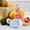 C, variant on TIMIFIS A Parer Paring Knife with Storage Box Paring Knife for Household Use Kitchen Appliances