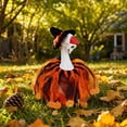 thumbnail image 4 of Sruoe Desk Goose Outfits, 7 Inch Mini Porch Goose Clothes, Desktop Goose Outfits, Costume Clothes for Table Decor Tabletop Goose Accessory Holiday All Seasons Holiday, 4 of 7