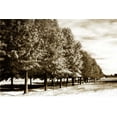 thumbnail image 2 of Alan Hausenflock 24x17 Gallery Wrapped Canvas Wall Art Titled - Plantation Road I, 2 of 4