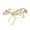 D, variant on Meitianfacai Halloween Skeleton Decoration Props Simulation Animals Bones Plastic Skeletons Home Desktop Ornaments Party Shop Bars Scene Atmosphere Decoration