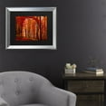 thumbnail image 3 of Trademark Fine Art 'The Red Way' Canvas Art by Philippe Sainte-Laudy, 3 of 4