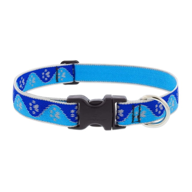 Collar para perro LupinePet con patas azules reflectantes 30-51 cm