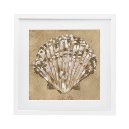 Stupell Industries Earthtone Clam Shell White Framed Print Under Glass design by June Erica Vess 13 x 13
