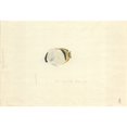 thumbnail image 2 of Chaetodon Vagabundus Vagabond Butterflyfish Poster Print By Mary Evans Natural History Museum, 2 of 4