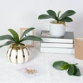 thumbnail image 4 of MesaSe Simulation Leaves Non-Wilting Fake Phalaenopsis Orchid Leaves Home Decor, 4 of 10