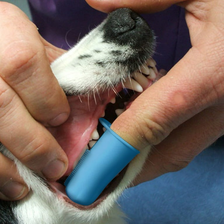 Pet Republique Cat Dog Finger Toothbrush Size Small Pack of 6