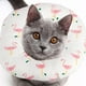 thumbnail image 5 of Collar De Cono Para Gato Collar Isabelino Suave Y Suave Para Gatito Collar De Cono Para Perro Collar De Donut Para Gatito Para Dejar De Lamer Collar De Recuperación Para Gatos, 5 of 7