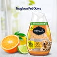 Renuzit Adjustable Gel Air Freshener Cone, Tough on Pet Odors, Clean