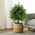 thumbnail image 5 of Simulated Ground Plants For Outdoor Decoration - Artificial Flowers And Plants For Front Door Windowsills No Maintenance Home Decorations, 5 of 5