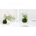 thumbnail image 4 of Moss Ball Flower Pot Natural Planter Bonsai Plant Holder Bird Nest for DIY Gardening Home Table Decoration, 4 of 6