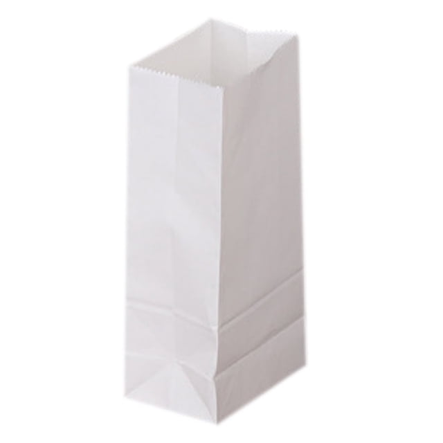 50 Count - White Paper Bags for Packing Lunch & Snacks - Blank White Lunch Bags Paper for Arts & Crafts Projects