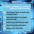 thumbnail image 3 of Ecological Laboratories OPCSM MICROBE-LIFT Oxy Pond Cleaner 2 lb., 3 of 4