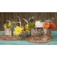 thumbnail image 3 of Table Decor Birch Bark Wood Planter Box Natural Fiber Liner Square 5.75 inches, 3 of 3