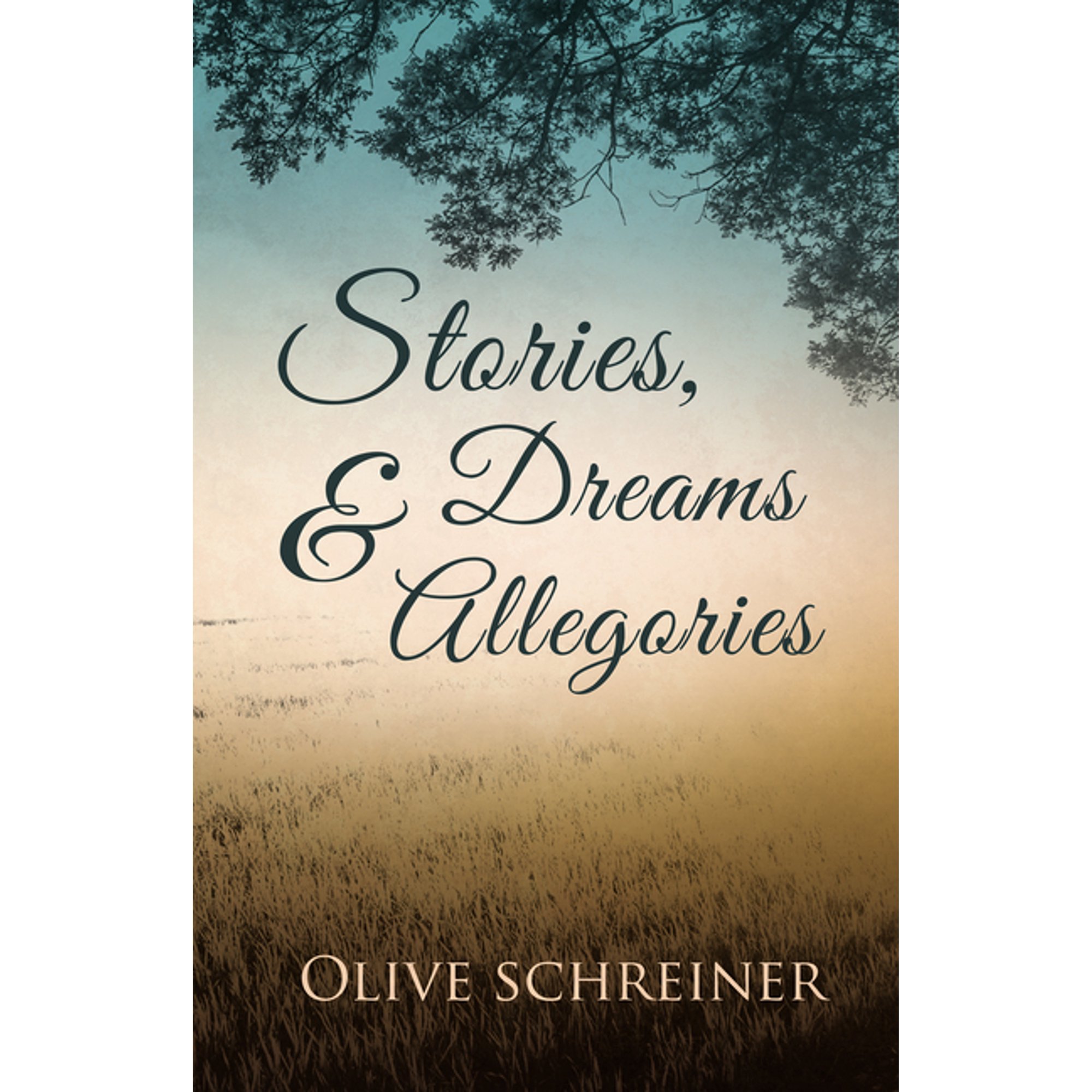Stories Dreams and Allegories (Paperback)