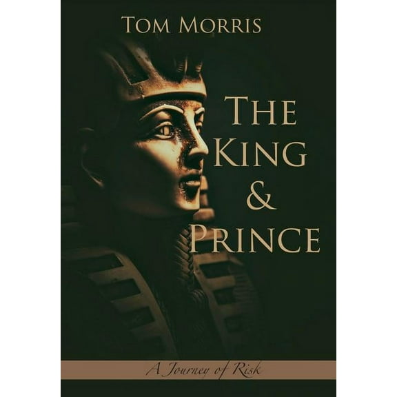 Walid and the Mysteries of Phi The King and Prince: A Journey of Risk, Book 4, (Hardcover)