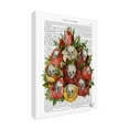 thumbnail image 2 of Trademark Fine Art 'Bouquet Of Skulls' Canvas Art by Fab Funky, 2 of 3