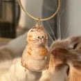 thumbnail image 4 of Transparent Cat Hair Keepsake Charm Pendant Pet Fur Storage Container Ornament Durable Acrylic Cat Figurine Memorial Keychain for Pet Lovers Gift F, 4 of 7