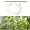 thumbnail image 4 of 100 Fruit Protection Bag Net Bags Grape Bunch Protection Against Birds And Insects Wasps Hornets 30 x 20 cm, 4 of 5