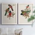thumbnail image 6 of Elegant Trogons IX - Premium Framed Canvas 2 Piece Set - Ready to Hang, 6 of 7