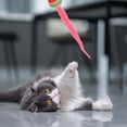 thumbnail image 3 of Jouet pour Chat d'Intérieur Chat Rebondissant avec Queue Jouet Ver de Chat, 3 of 9