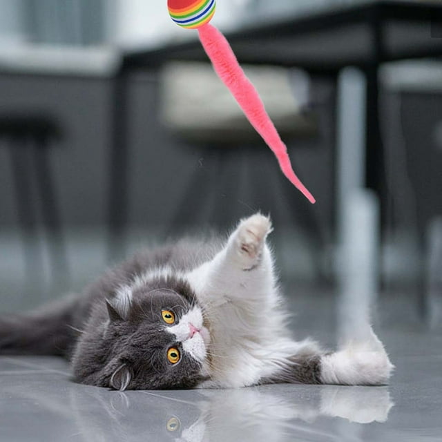 Jouet pour Chat d'Intérieur Chat Rebondissant avec Queue Jouet Ver de Chat