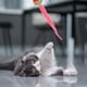 thumbnail image 2 of Gato para gatos de interior. Gato saltarín con cola. Juguete para gatos. Juguete gusano para gatos con, 2 of 8