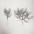 thumbnail image 3 of 10 Pcs Black Halloween Tree Branches Spooky Halloween Decorations Gothic Halloween Decor Artificial Twigs for Vase Home Party Indoor Outdoor Halloween Decorations, 3 of 6