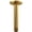 Gold, variant on Riobel 508 5-5/8" Ceiling Mounted Shower Arm And Flange - Black