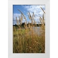 thumbnail image 3 of Brian Moore 11x14 White Modern Wood Framed Wall Art Titled - Through the Grass I, 3 of 5