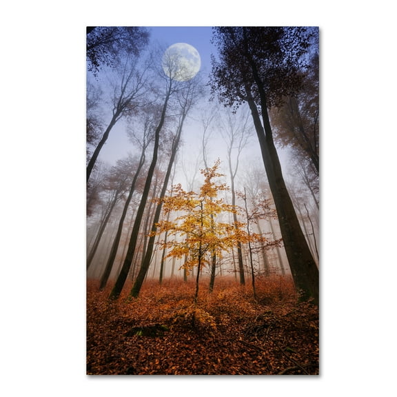 Philippe Sainte-Laudy 'Sentinel' Canvas Art