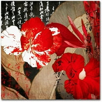 Trademark Fine Art "China Red I" Canvas Art by Color Bakery