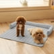 thumbnail image 5 of Cama Para Perros, Cojín Ortopédico Para Sofá, Soporte Acolchado, Funda Extraíble, Tumbona Lavable Para Mascotas, Mueble Para Sala De Estar, Acogedor Rincón Para Gatos, 5 of 9