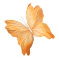 thumbnail image 1 of Decoración de fiesta de mariposa gigante, mariposa de papel artificial grande para bodas, fiestas, banquetes, decoración de fondo de jardín del hogar, 1 of 8