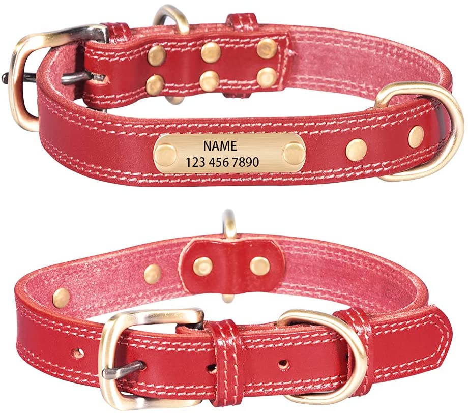 personalized leather dog collars
