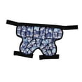 thumbnail image 2 of Pantalones Cortos Protectores de Cadera Acolchados para Niños, Pantalones Cortos Acolchados, Cojín EVA 3D, Equipo Protector de Esquí Ajustable para Pa Color, 2 of 8