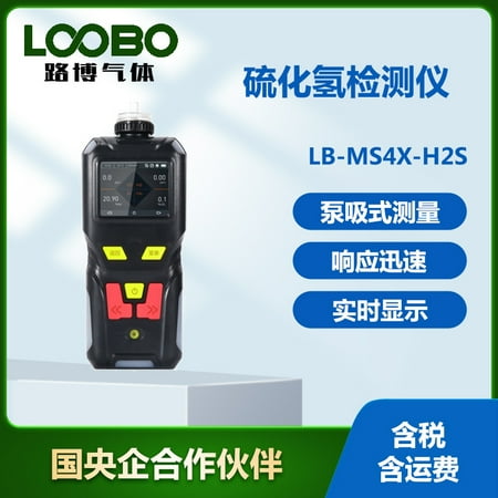 

Hydrogen Sulfide Gas Detector Sensitive Rapid Pump Suction Portable Hydrogen Sulfide Gas Analyzer