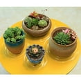 thumbnail image 4 of 10pcs Garden Plant Saucer Drip Tray Round Pot Base Clear Snack Container PET, 4 of 11
