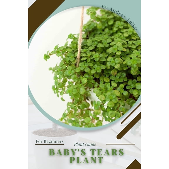 Baby's Tears plant: Prodigy Petal, Plant Guide, (Paperback)