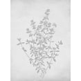 thumbnail image 2 of Lettered and Lined 12x14 White Modern Wood Framed Museum Art Print Titled - Retreat Botanical 16, 2 of 4