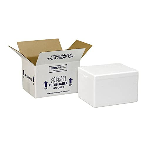 Polar Tech Carton Isotherme 245C Thermo Chill avec Expéditeur en Mousse, Moyen, Longueur 17 Pouces x Largeur 10 Pouces x Profondeur 8-1/4 Pouces