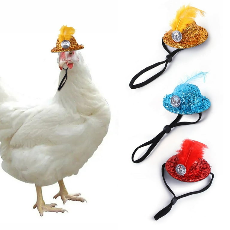 Top hat on sale special chicken