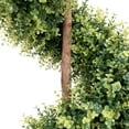 thumbnail image 5 of Northlight 5.5' Unlit Artificial Potted Two-Tone Boxwood Spiral Topiary Tree, 5 of 7
