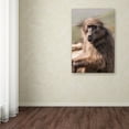thumbnail image 3 of Trademark Fine Art 'Baboon Chilling in the Sunshine' Canvas Art by Thom Sivo, 3 of 3