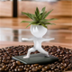 thumbnail image 4 of Suculentas deportivas, plantas en maceta, macetas, macetas para yoga, suculentas, macetas, bulbos divertidos, decoraciones B, 4 of 8