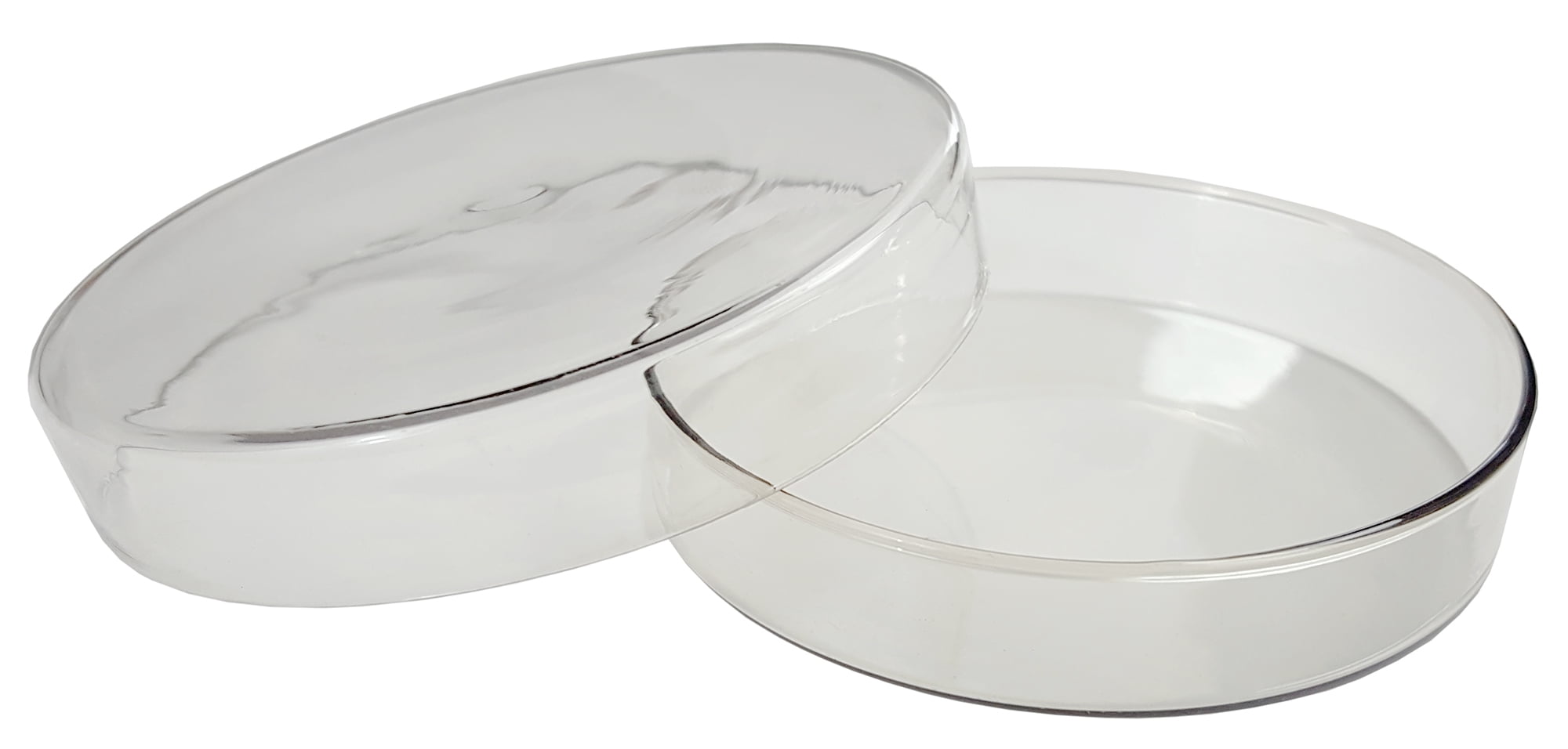 35mm x 10mm Sterile Plastic Petri Dishes with Lid for LB Plate Yeast Transparent color LilyJudy 10 pcs
