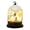 #10 B, variant on YEPGAR 180mAh Fall Home Decor Halloween Light LED Clear Dome Pumpkin Night Light Desk Decorative For Bar Home Party Globes (A, One Size)