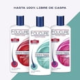 thumbnail image 2 of FOLICURE Shampoo Limpieza Renovadora 700ML 6pack, 2 of 7